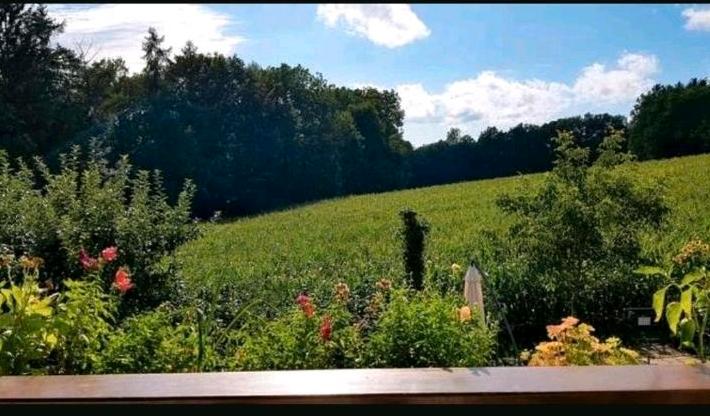 Helle 4 Zimmer Dachgeschosswohnung mit Balkon *befristet* zimmer