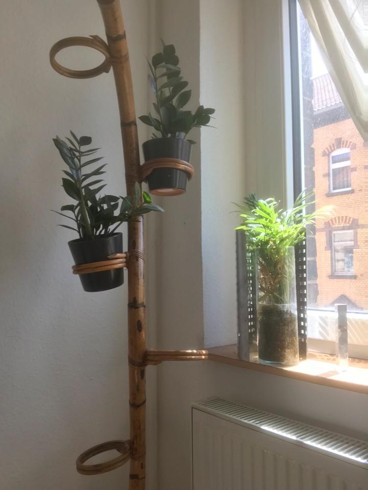 Großes Zimmer . Krämpfervorstadt . . Tages Wochen Monatsweise