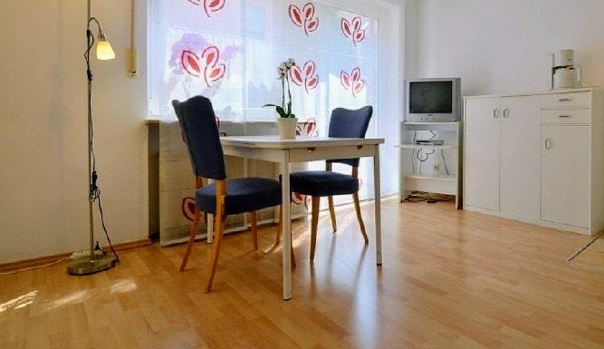 Wunderschönes vollmöbliertes EinZimmerappartement Altstadt