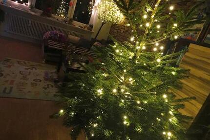 Wohnung Mindelheim - 4 Zimmer, 92 m&sup2;, 940&euro; | Angebot:24657413