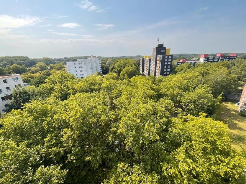 Frisch renovierte 2 Zimmerwohnung mit Balkon