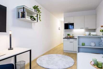 Wohnung zum Mieten in Potsdam 607,80 € 18.27 m² 1 zimmer