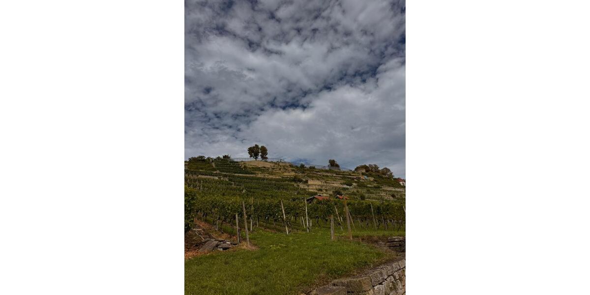 Penthouse zur Zwischenmiete, voll möbliert, 20 min nach Stuttgart 3.5 zimmer