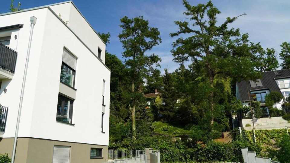 Etagenwohnung Mainz Oberstadt - 3 Zimmer, 80 m&sup2;, 1.750&euro; | Angebot:26233202