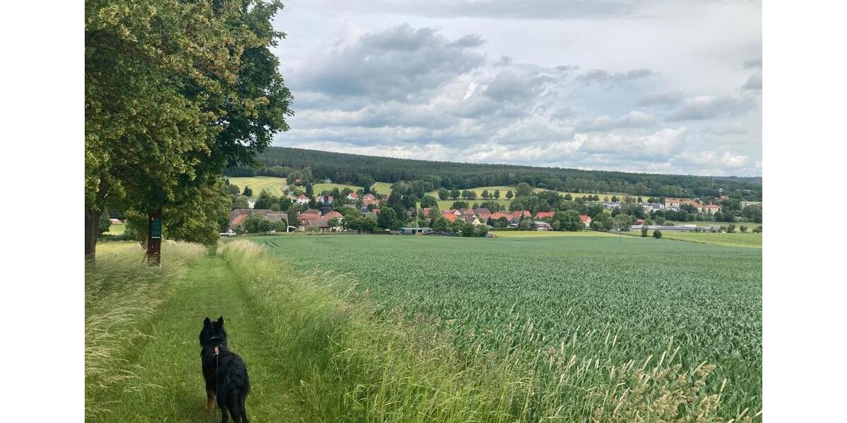 Etagenwohnung Blankenhain - 2 Zimmer, 75 m&sup2;, 400&euro; | Angebot:26022746