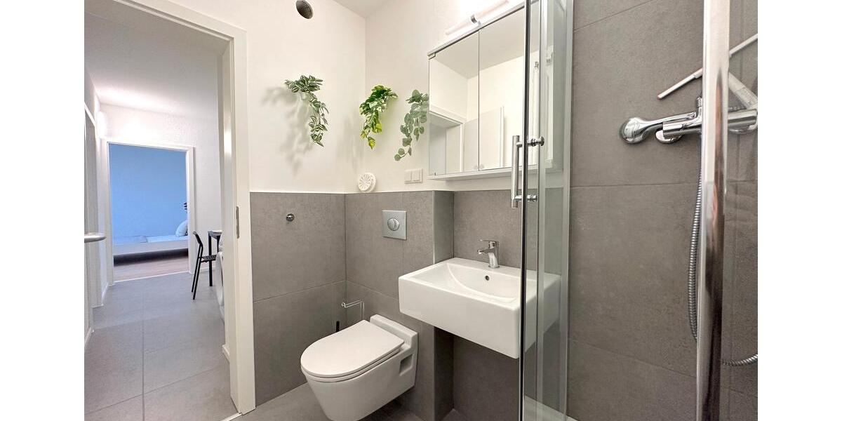 Etagenwohnung Frankfurt am Main Sossenheim - 1 Zimmer, 30 m&sup2;, 520&euro; | Angebot:26693072