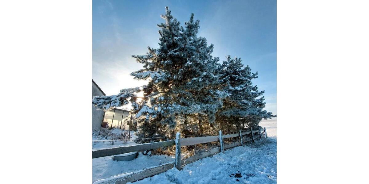 Erdgeschoßwohnung Neuenkirchen - 2 Zimmer, 55 m&sup2;, 680&euro; | Angebot:24676621