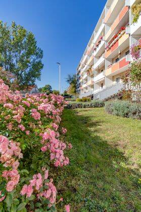Etagenwohnung Magdeburg Neu Olvenstedt - 2 Zimmer, 55 m&sup2;, 369&euro; | Angebot:26817033