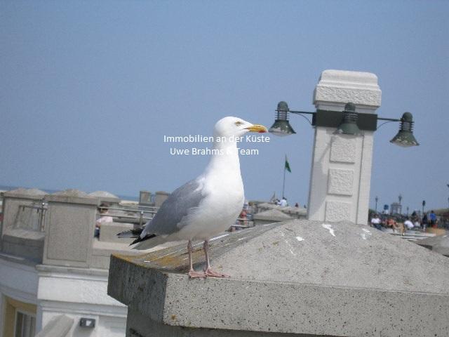 Eine ganze Etage im 1. OG