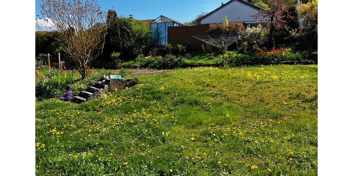 Erdgeschoßwohnung Kusterdingen - 3 Zimmer, 180 m&sup2;, 300&euro; | Angebot:26286485