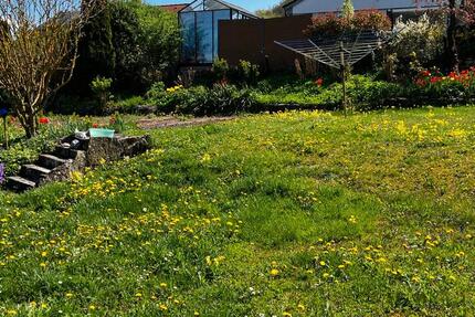 Wohnung Kusterdingen - 3 Zimmer, 180 m&sup2;, 300&euro; | Angebot:26286485