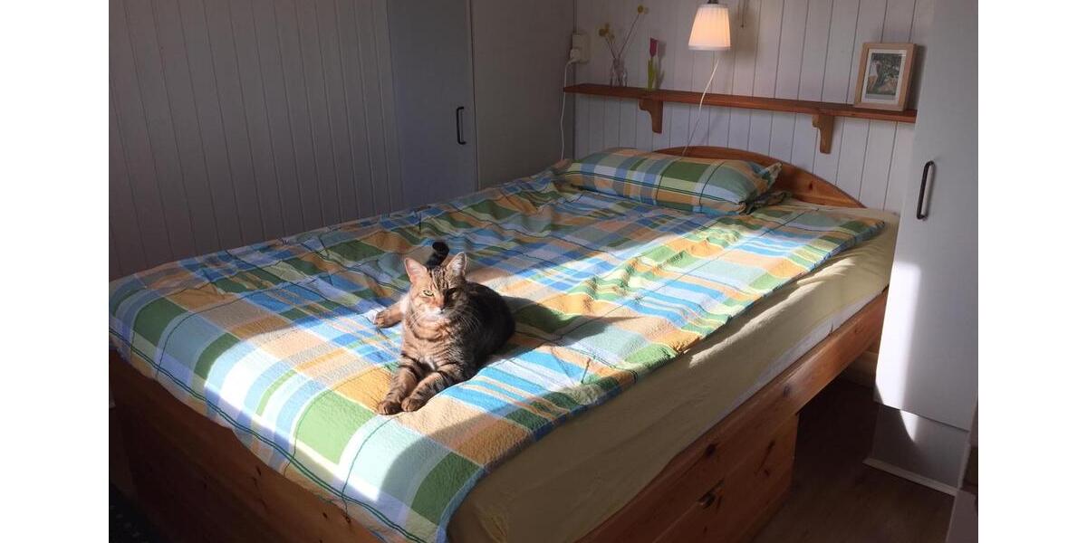 Einfamilienhaus Hohenfelde - 2 Zimmer, 50 m&sup2;, 900&euro; | Angebot:25974201