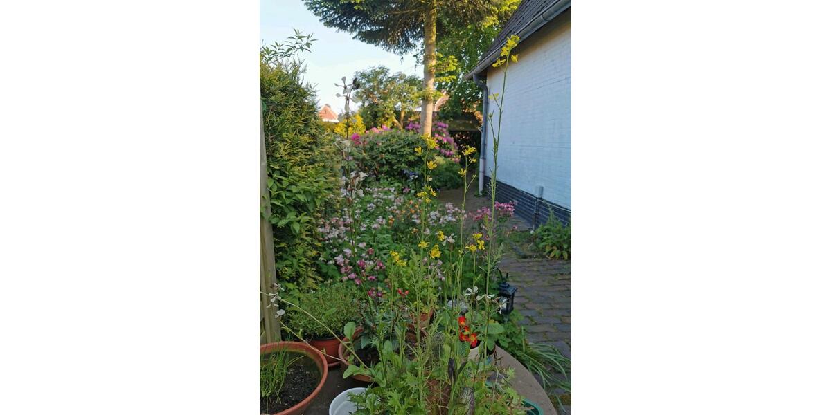 Dachgeschoßwohnung Jever - 3.5 Zimmer, 75 m&sup2;, 570&euro; | Angebot:25831574