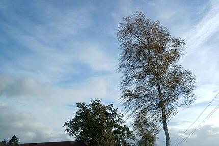 Wohnungsgesuch 2-3 Zimmerwohnung 2 zimmer