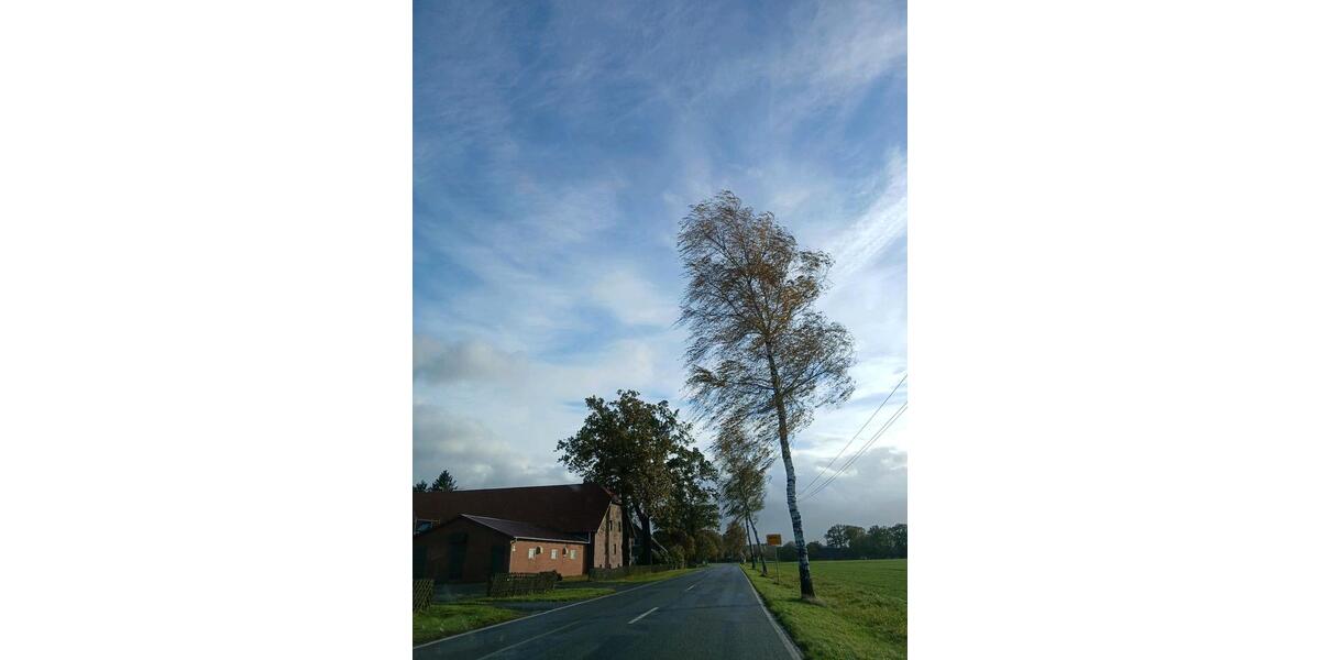 Wohnungsgesuch 2-3 Zimmerwohnung 2 zimmer