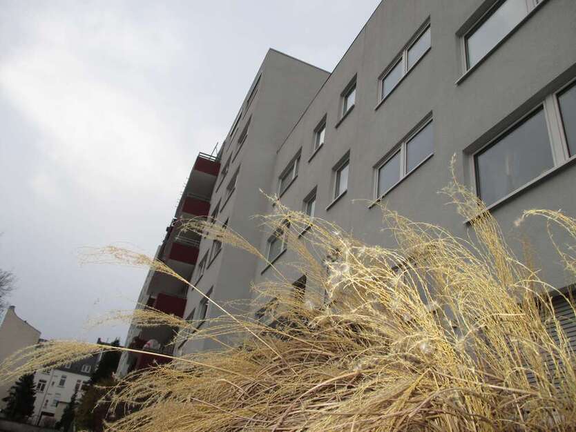 Wohnung zum Mieten in Wiesbaden 410 € 36 m²