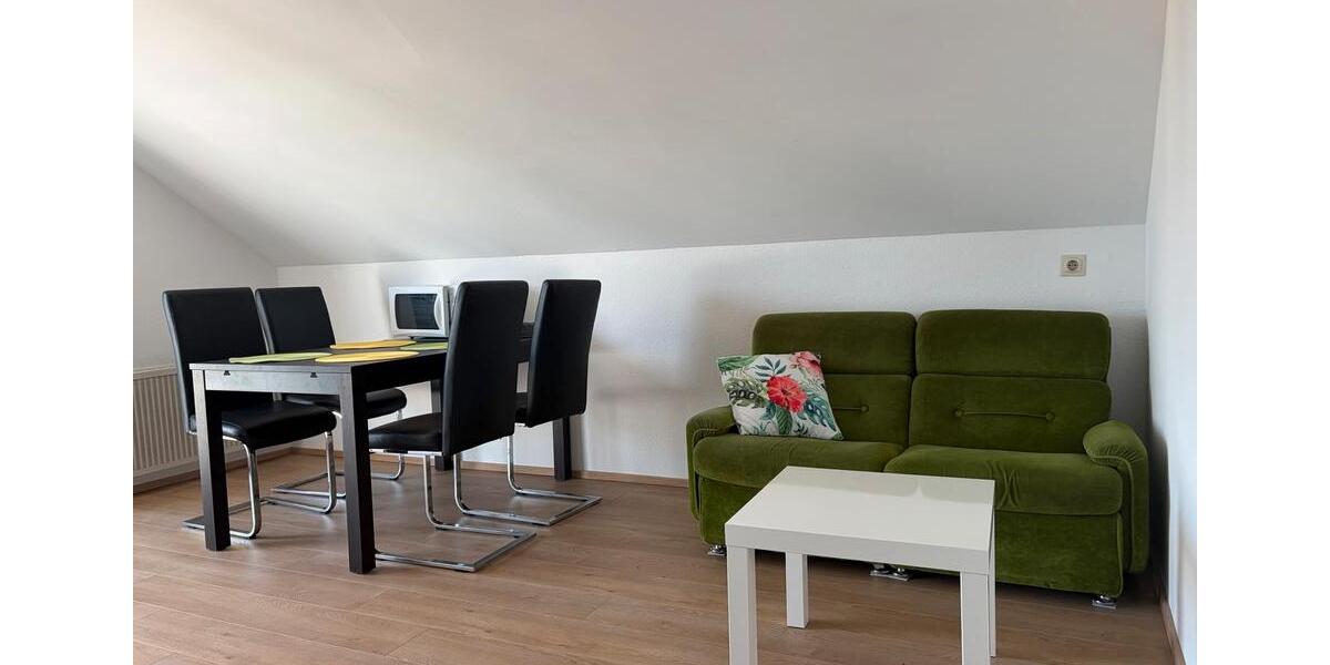 Wohnen auf Zeit Biberach an der Riß - 1 Zimmer, 16 m&sup2;, 20&euro; | Angebot:26479003