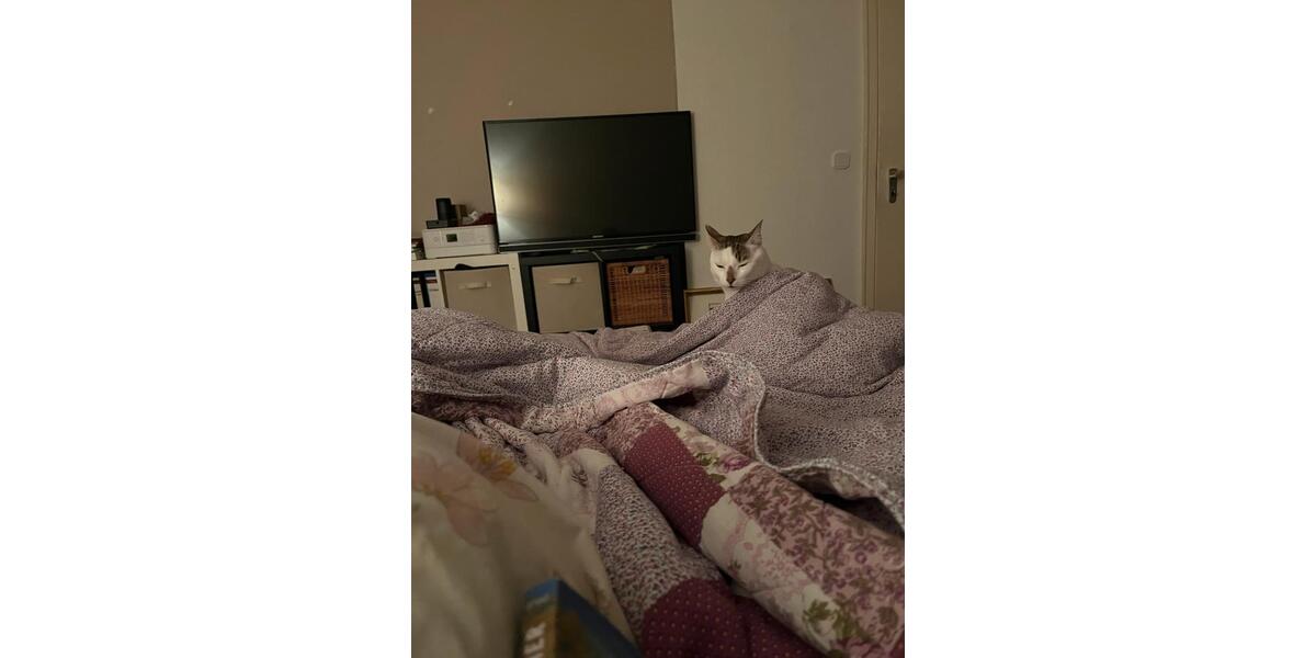 Wohnen auf Zeit Uttenreuth - 12 Zimmer, 78 m&sup2;, 400&euro; | Angebot:24593608