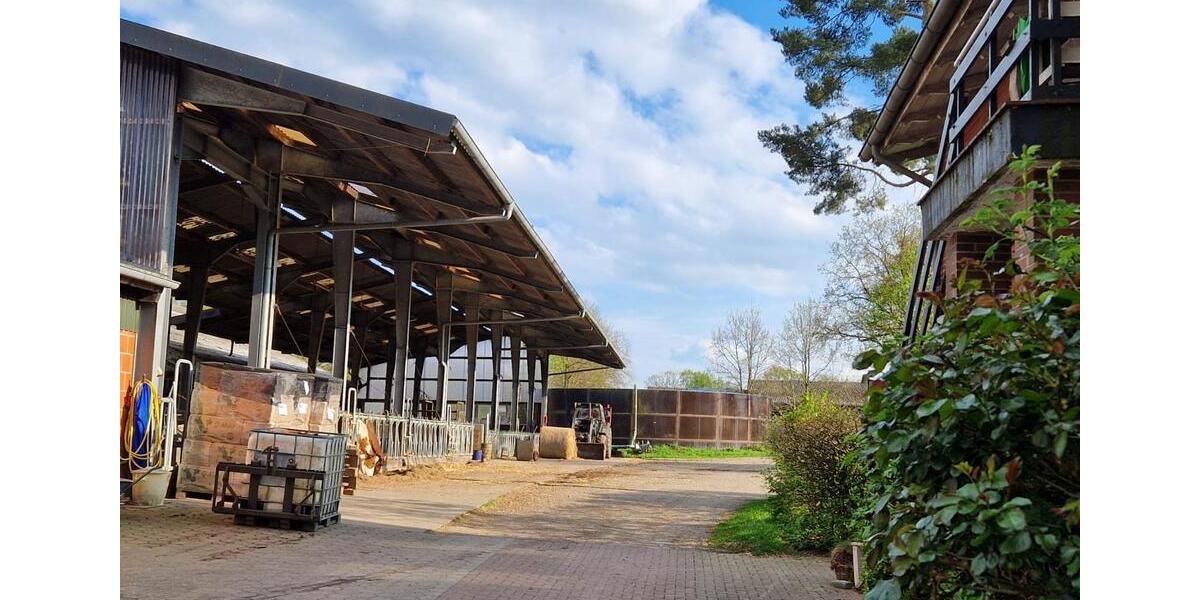 Wohnen auf Zeit Wrist - 5 Zimmer, 120 m&sup2;, 40&euro; | Angebot:21692169