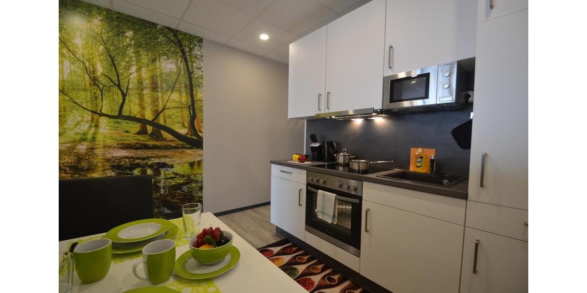 Etagenwohnung Marktheidenfeld - 1 Zimmer, 50 m&sup2;, 1.045&euro; | Angebot:24754959