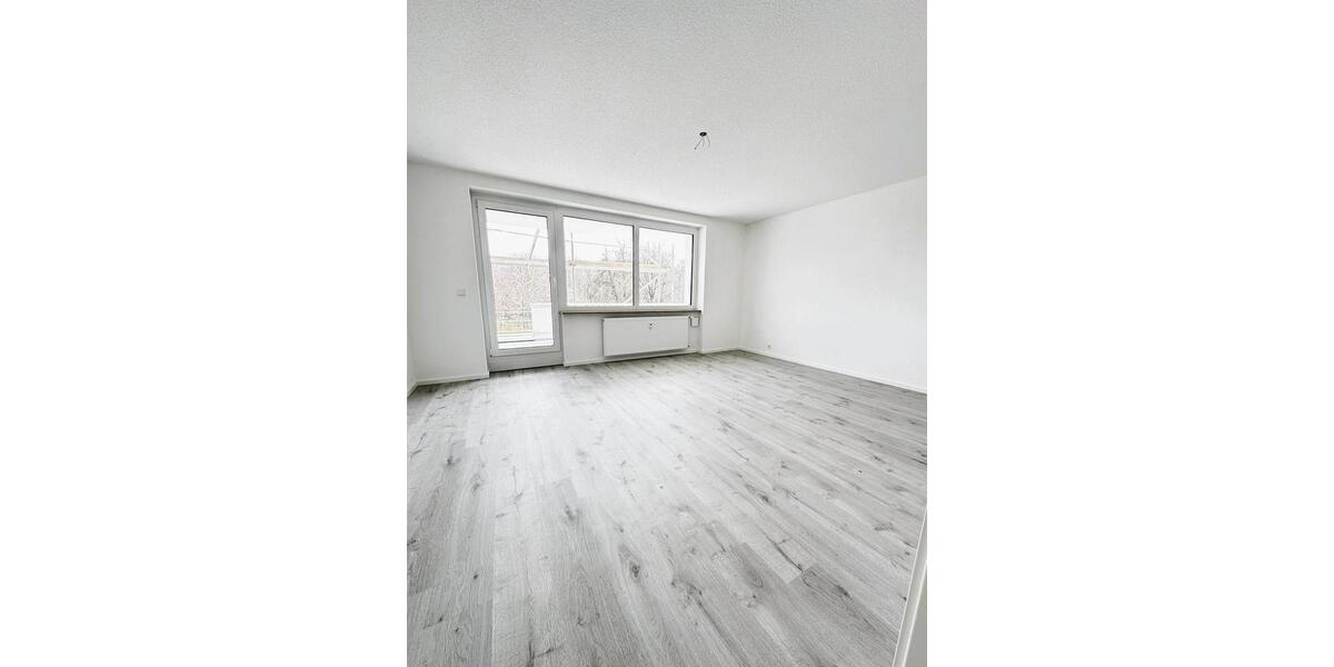 Neuwertige 4 Zim.-Penthouse Wohnung am See mit riesen Terrasse in Singen 4 zimmer