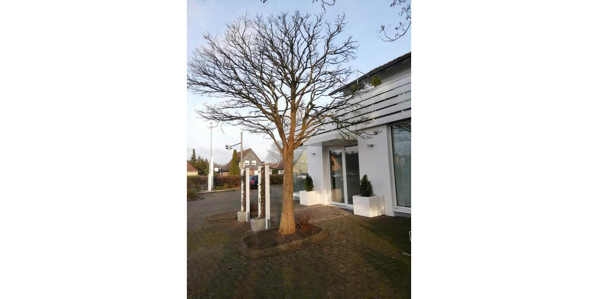 Ladengeschäft im EG zimmer