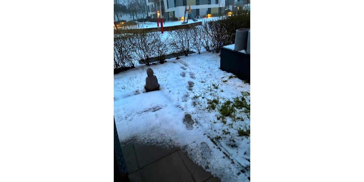 Erdgeschoßwohnung Schönefeld - 1.5 Zimmer, 50 m&sup2;, 840&euro; | Angebot:24496822