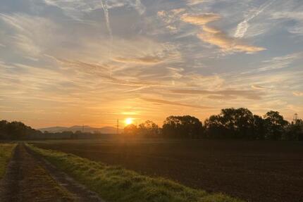 Wohnen auf Zeit Rosdorf - 2 Zimmer, 60 m&sup2;, 400&euro; | Angebot:26090445