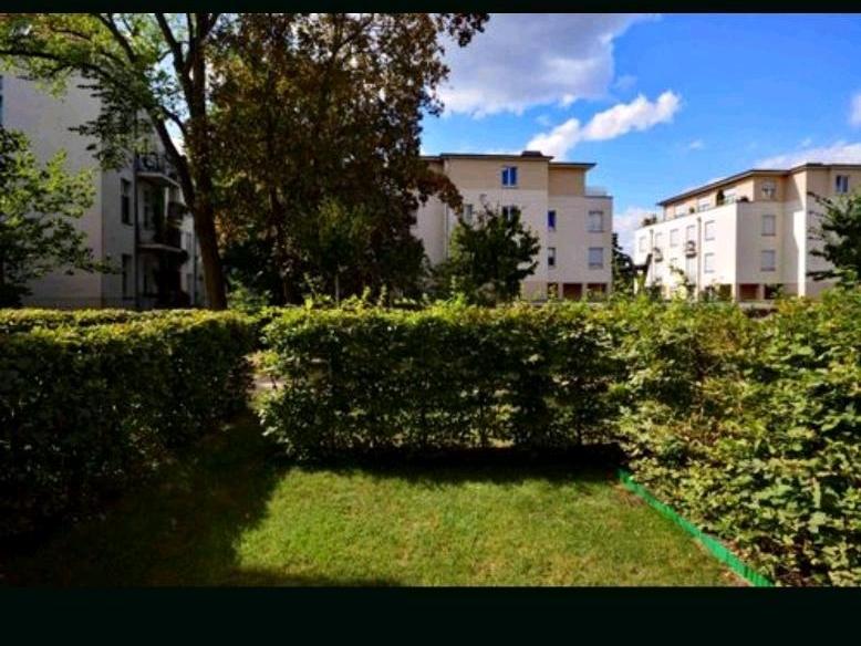 Erdgeschoßwohnung Potsdam Berliner Vorstadt - 2 Zimmer, 72 m&sup2;, 1.188&euro; | Angebot:25157313