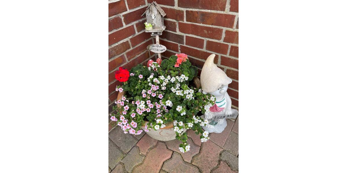 Wohnen auf Zeit Salzhausen - 3 Zimmer, 62 m&sup2;, 80&euro; | Angebot:20229914