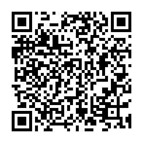 Doppelhaushälfte Gorleben - 5 Zimmer, 521&euro; | Angebot:22172167