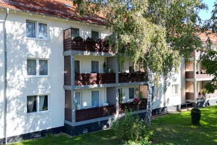 Wohnung zum Mieten in Magdeburg 433,29 € 66.66 m² 3 zimmer