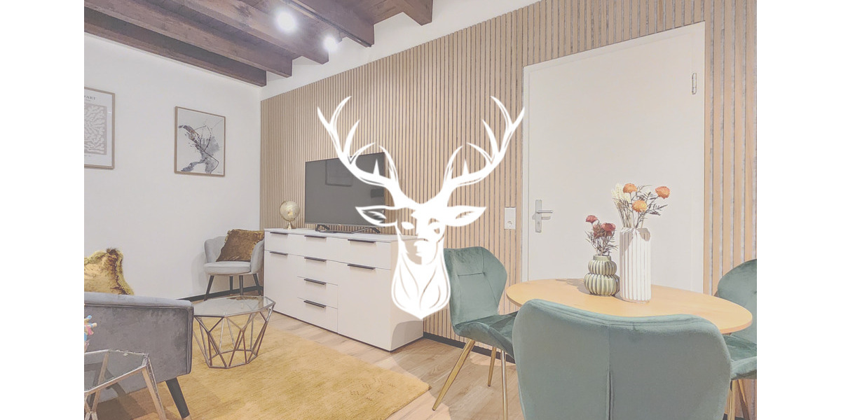 Dachgeschoßwohnung Waldshut-Tiengen Tiengen - 1.5 Zimmer, 35 m&sup2;, 1.200&euro; | Angebot:23598951