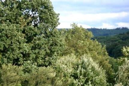 NATURPUR SONNIGE 3-Zi. DG-Whg. an max. 2 Pers. NR zum 1.3.2026 3 zimmer