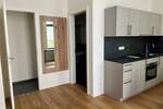 Loftige, möblierte 1-Zimmer-Wohnung mit großer Terrasse zum Erstbezug!