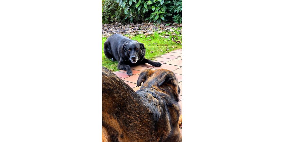 Wohnen auf Zeit Recklinghausen - 1 Zimmer, 20 m&sup2;, 490&euro; | Angebot:26025177