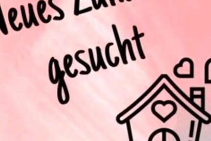 Erdgeschosswohnung oder kleines Häuschen zimmer