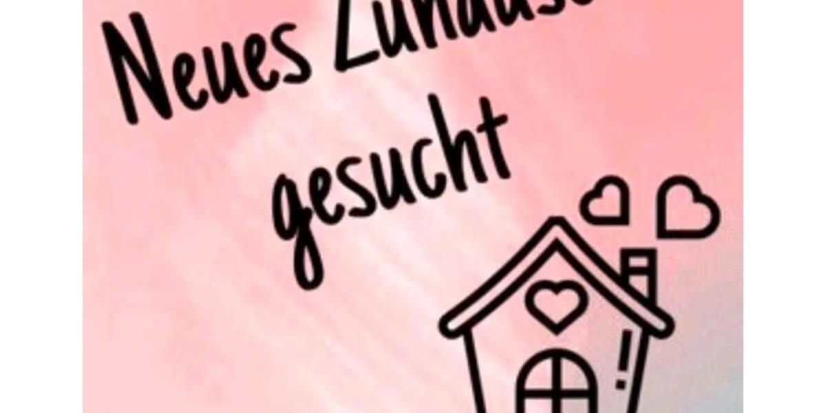 Erdgeschosswohnung oder kleines Häuschen zimmer