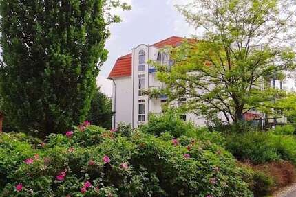 Wohnung Dresden Pieschen - 1 Zimmer, 33 m&sup2;, 300&euro; | Angebot:27032531