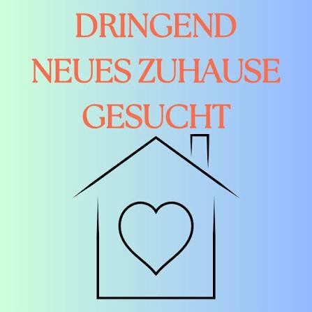 Etagenwohnung Linnich - 4 Zimmer, 80 m&sup2;, 1.200&euro; | Angebot:26391595
