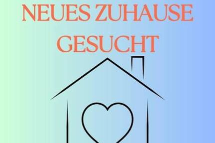 Wohnung Linnich - 4 Zimmer, 80 m&sup2;, 1.200&euro; | Angebot:26391595