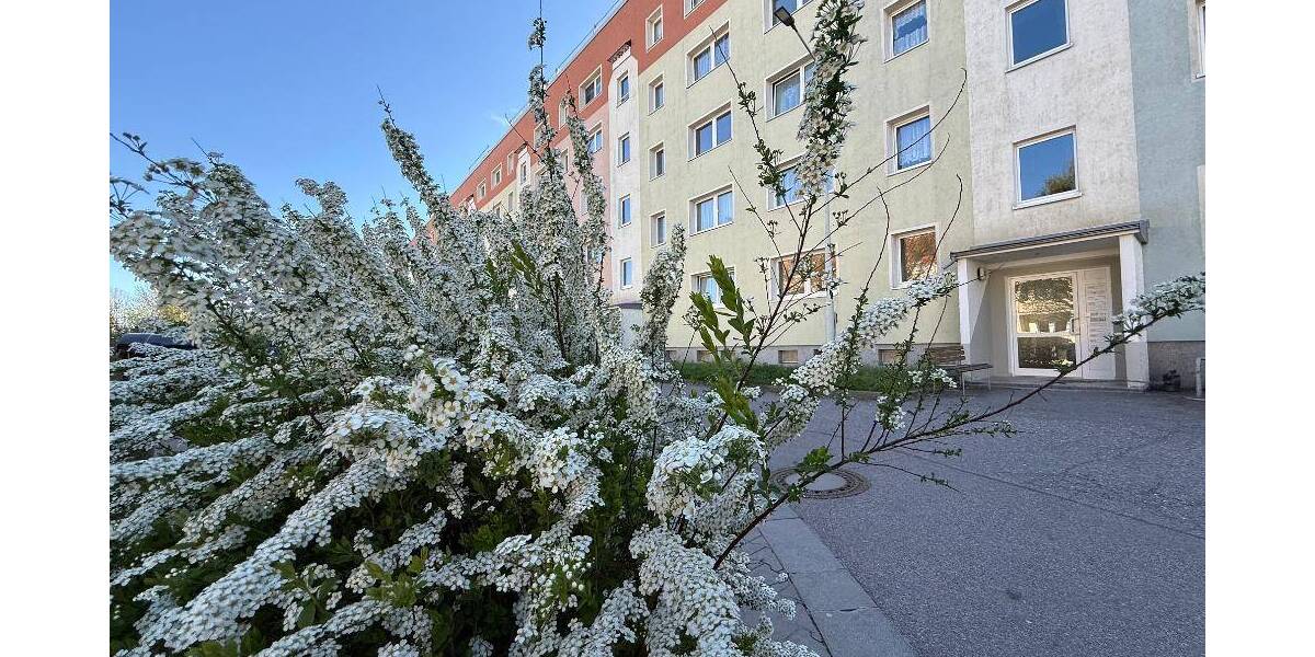 Etagenwohnung Wilkau-Haßlau Haßlau - 3 Zimmer, 57 m&sup2;, 320&euro; | Angebot:26476430