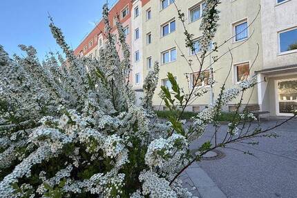 Wohnung Wilkau-Haßlau Haßlau - 3 Zimmer, 57 m&sup2;, 320&euro; | Angebot:26476430