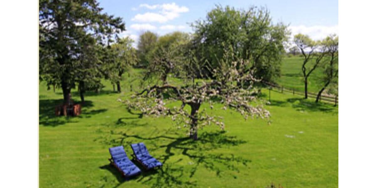 Terrassenwohnung Lütjenburg - 2 Zimmer, 65 m&sup2;, 790&euro; | Angebot:23497072