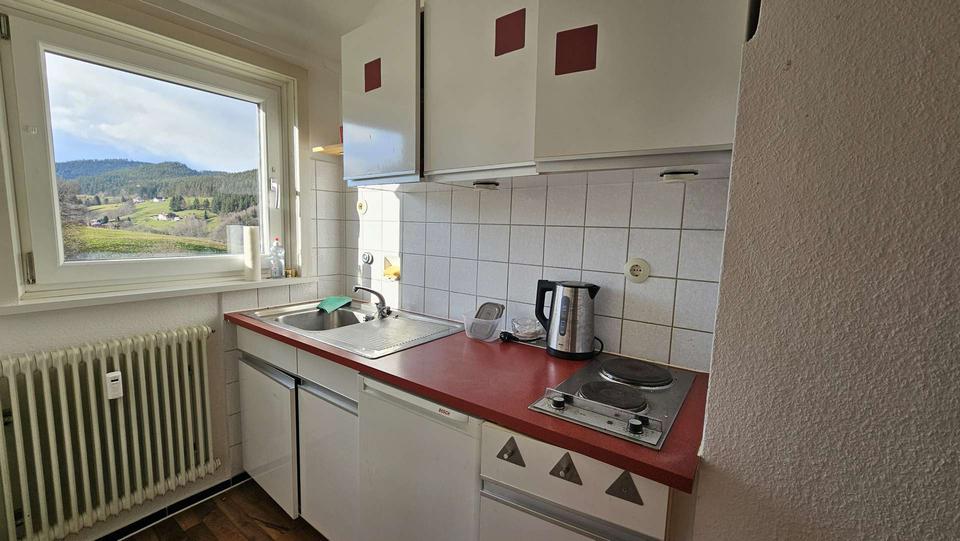 Dachgeschoßwohnung Baiersbronn - 1 Zimmer, 30 m&sup2;, 400&euro; | Angebot:26562064
