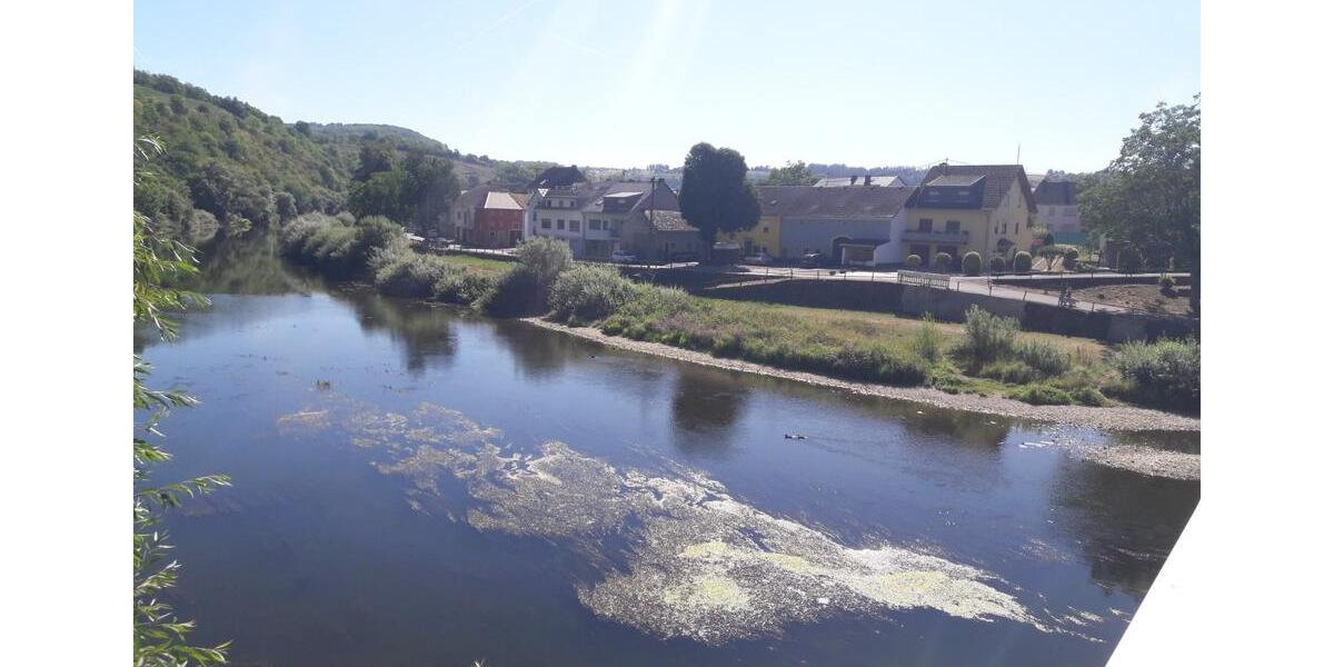 Etagenwohnung Langsur - 3 Zimmer, 72 m&sup2;, 720&euro; | Angebot:24385426