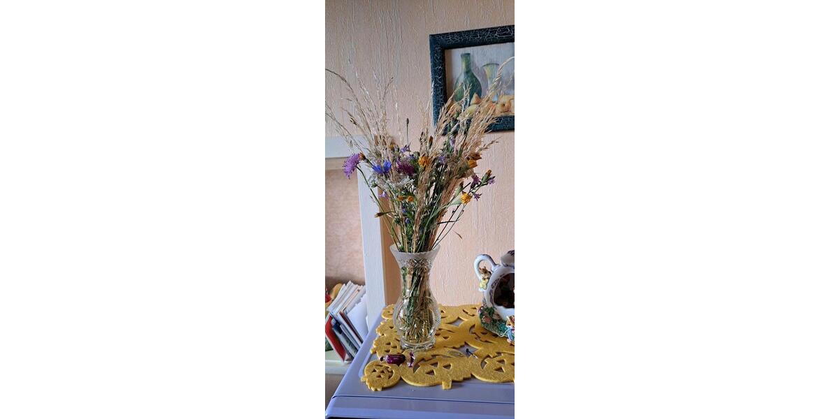 WG Zimmer in Fachwerkhaus 3 zimmer