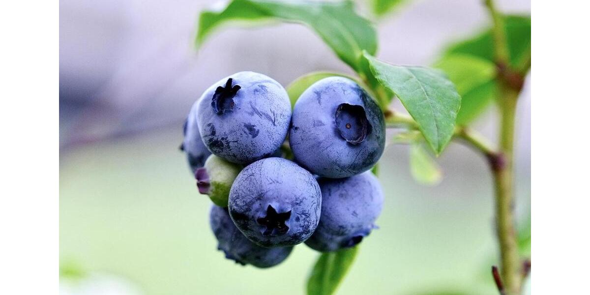 Etagenwohnung Oberkirch - 3 Zimmer, 91 m&sup2;, 683&euro; | Angebot:24788684