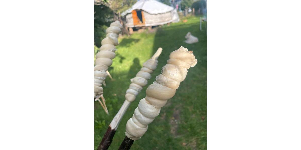 Wohnen auf Zeit Feldberg (Schwarzwald) - 1 Zimmer, 20 m&sup2;, 520&euro; | Angebot:25677526