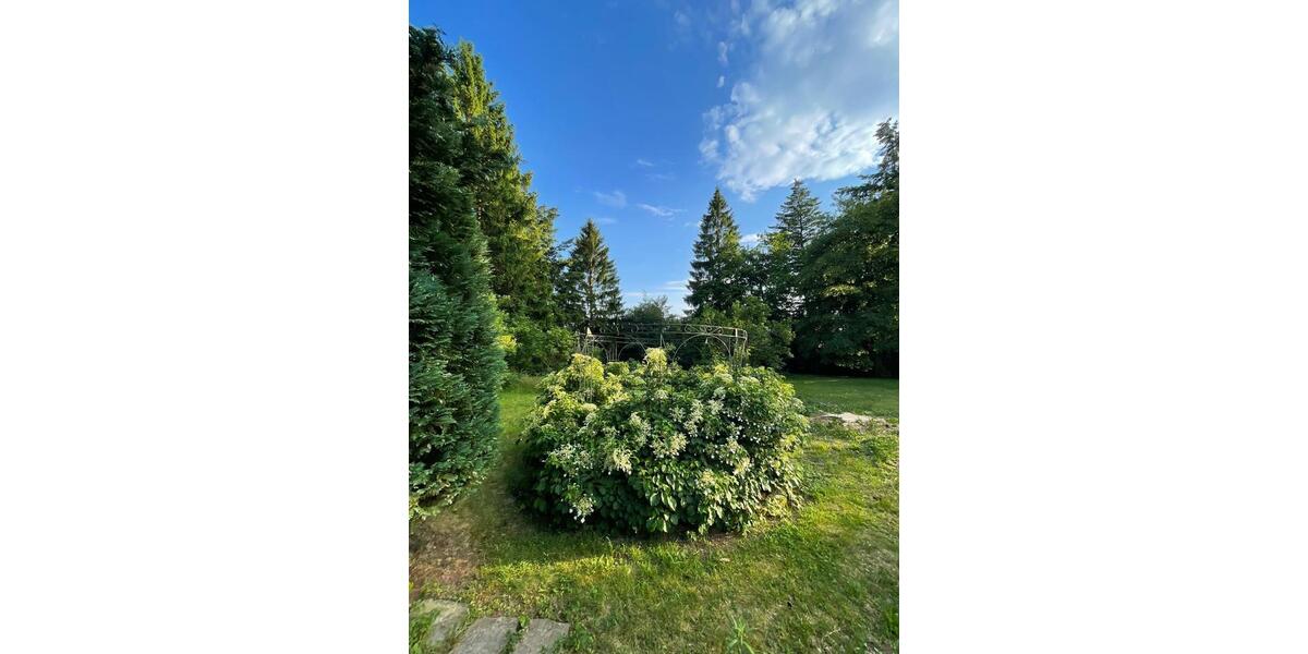 Erdgeschoßwohnung Clausthal-Zellerfeld Zellerfeld - 4 Zimmer, 134 m&sup2;, 690&euro; | Angebot:26442144